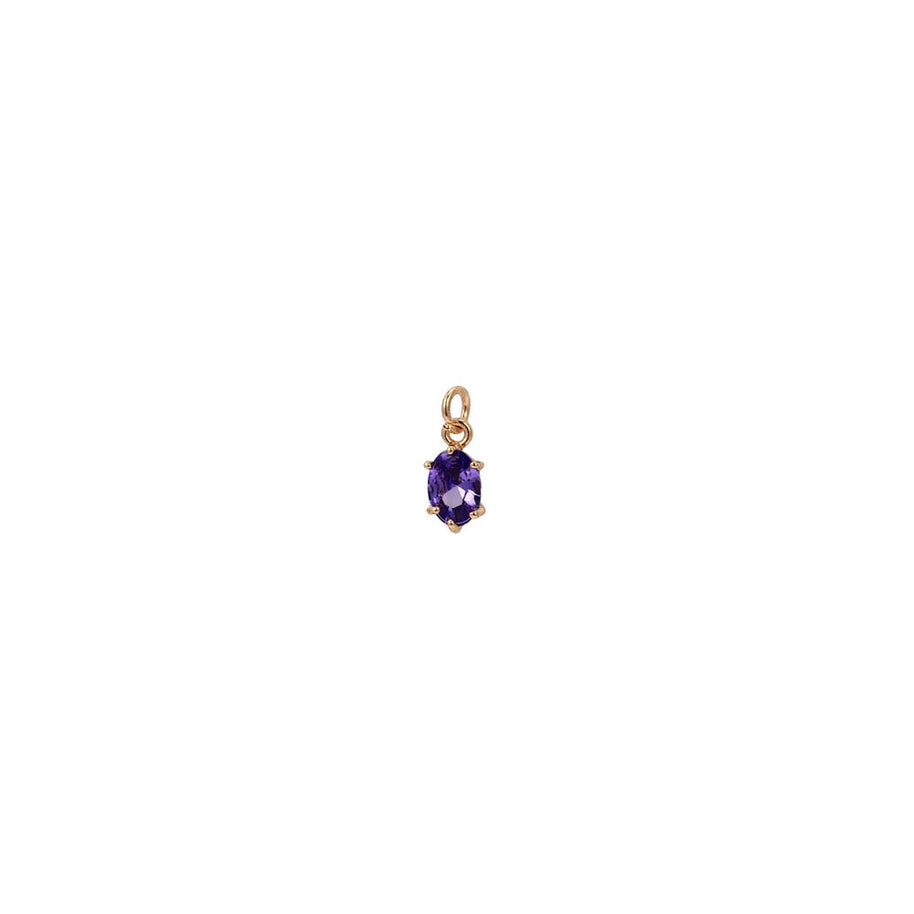 Stainless Steel Adjustable Charm 12 Birthstones Pendant