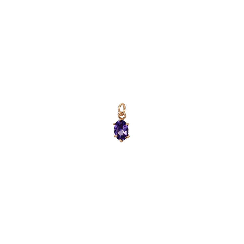 Stainless Steel Adjustable Charm 12 Birthstones Pendant