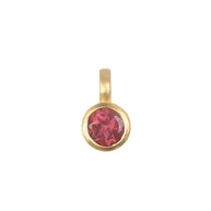 Stainless Steel Adjustable Charm 12 Birthstones Pendant