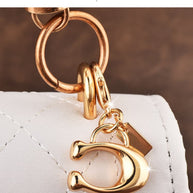 Distinctive C Bag Charm JSJ241101