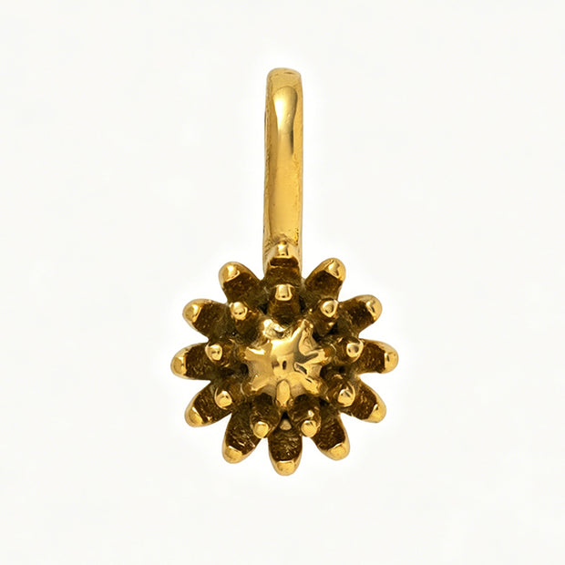 Personality Flower of the Month Shoe Jewel JX26041277GK