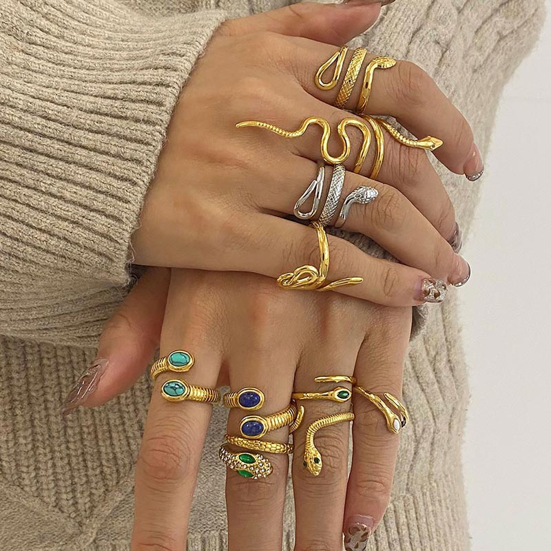 Stainless Steel Snake Ring JXRW2311003-7