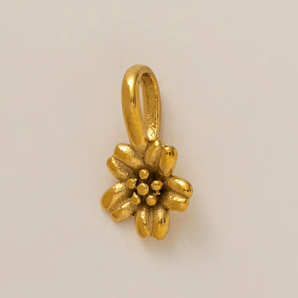 Personality Flower of the Month Shoe Jewel JX26041277GK