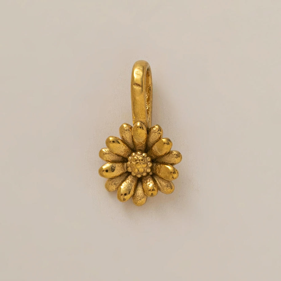 Personality Flower of the Month Shoe Jewel JX26041277GK