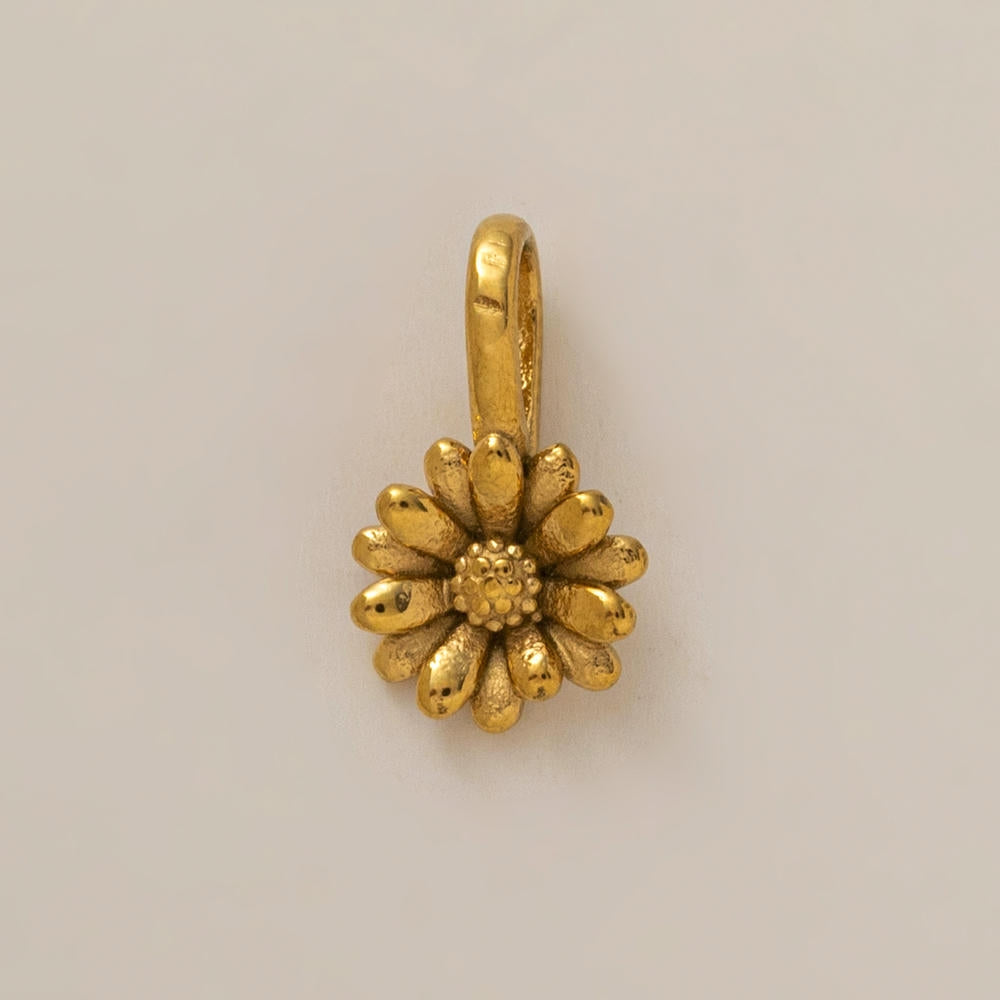 Personality Flower of the Month Shoe Jewel JX26041277GK