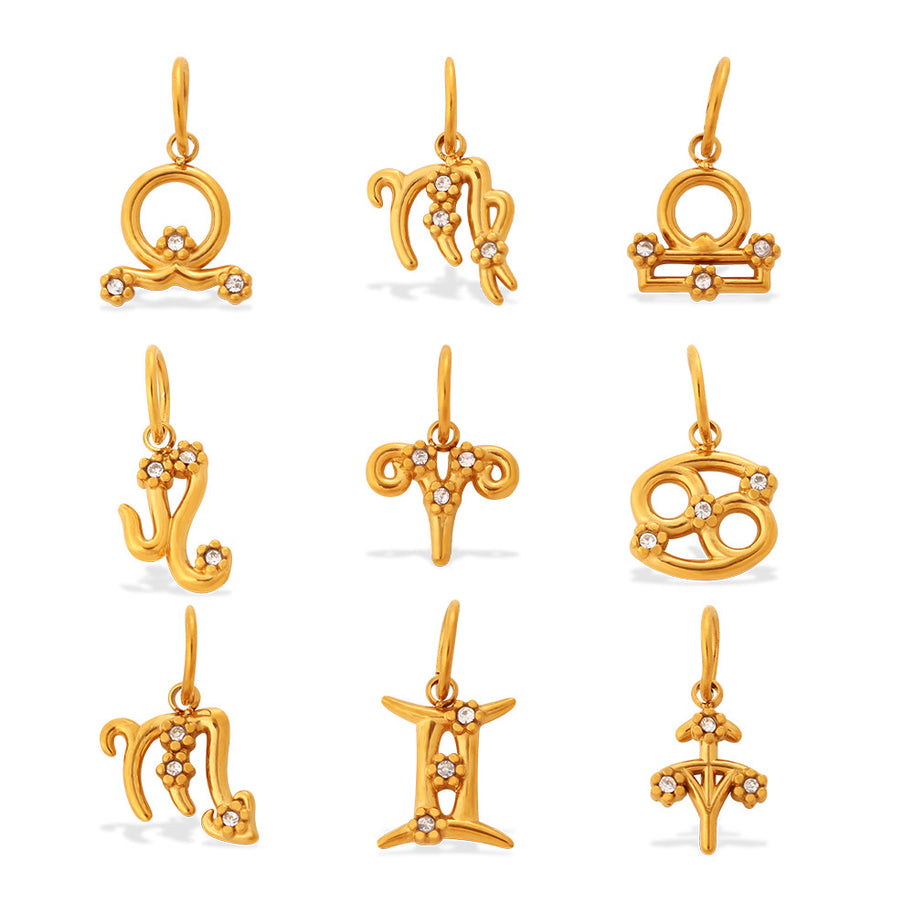 Premium Versatile Zodiac Charm  Individuality Pendant
