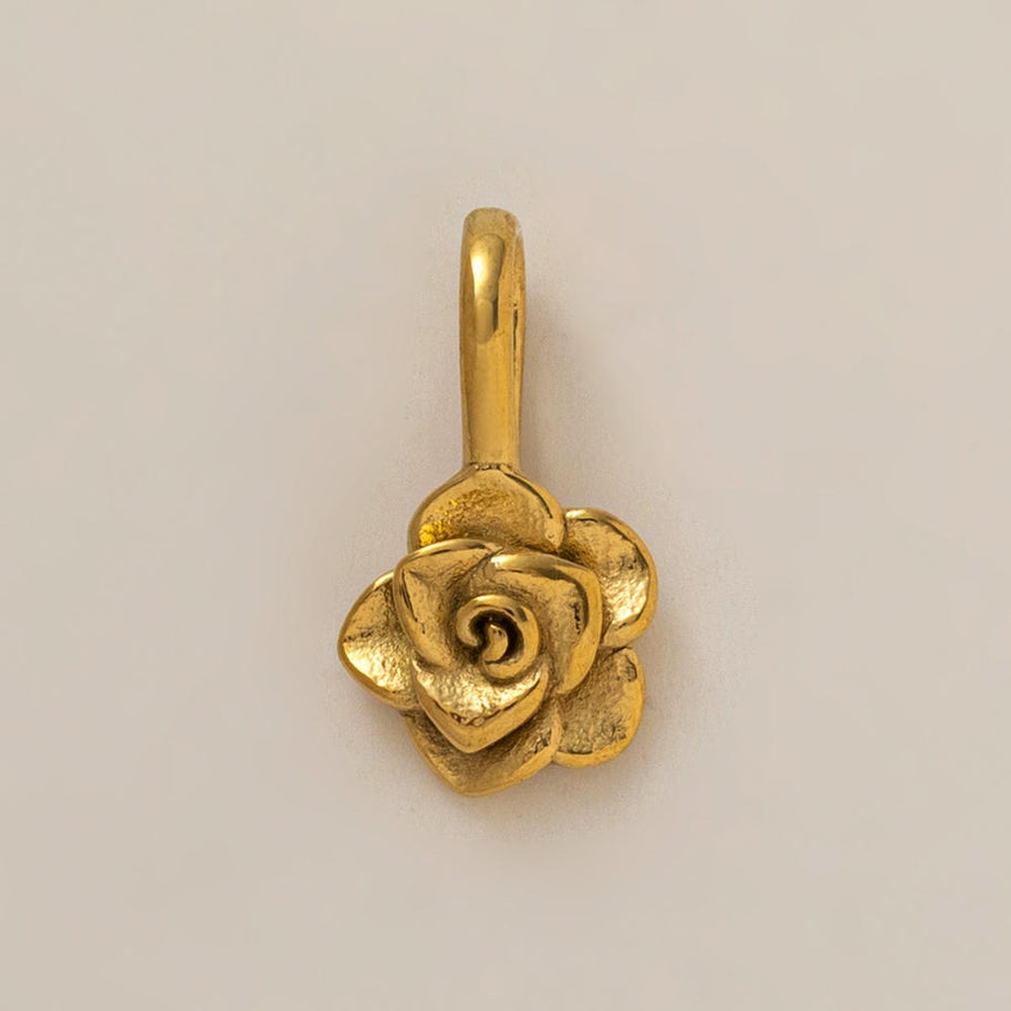 Personality Flower of the Month Shoe Jewel JX26041277GK