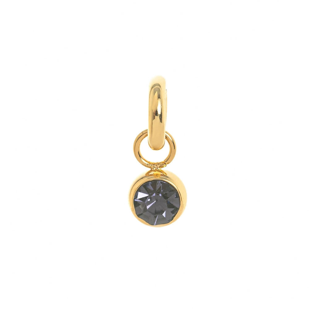 Stainless Steel Adjustable Charm 12 Birthstones Pendant