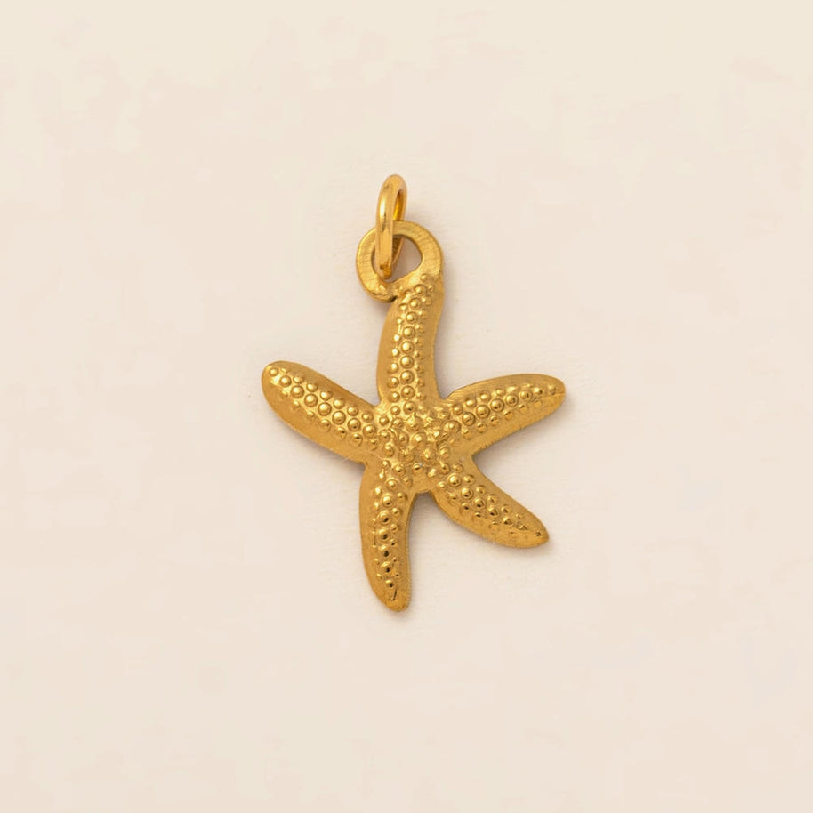 Summer Beach Starfish Turtle Keychain Pendant Charm JX251222Z
