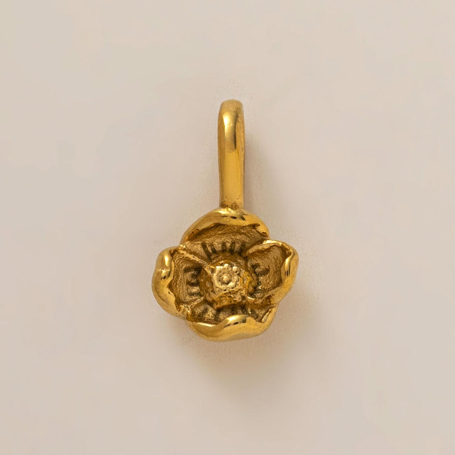 Personality Flower of the Month Shoe Jewel JX26041277GK