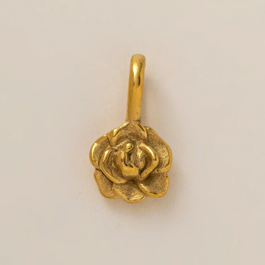 Personality Flower of the Month Shoe Jewel JX26041277GK