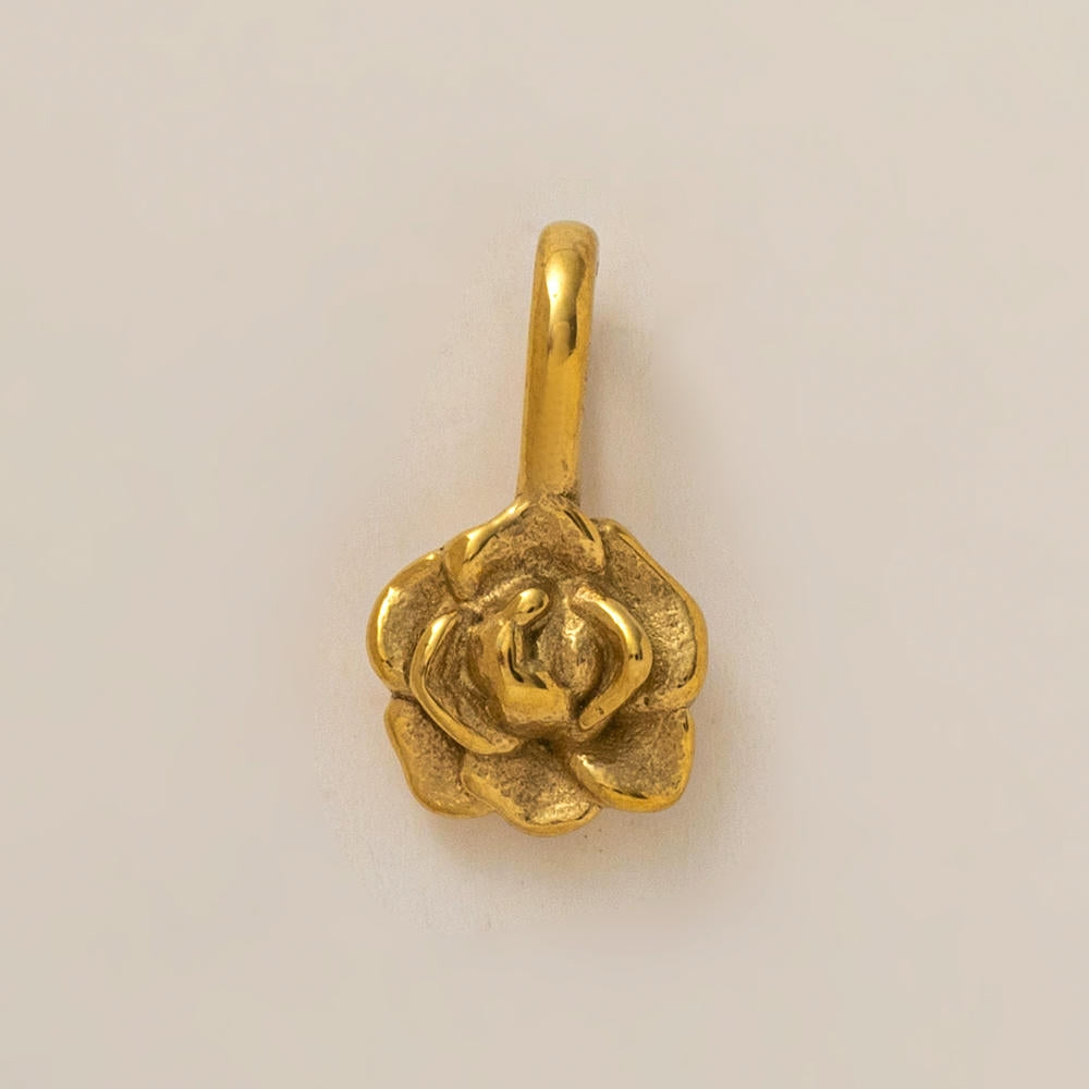 Personality Flower of the Month Shoe Jewel JX26041277GK