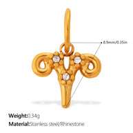 Premium Versatile Zodiac Charm  Individuality Pendant
