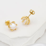 Freshwater Pearl Studs