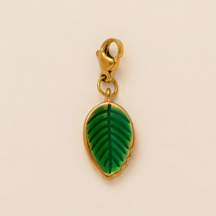 Fresh Fruit Shoe Decoration 18K Gold Steel JX26041269GK