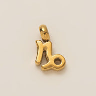Personalized Zodiac Clog Charm 18K Gold JX26041206GK