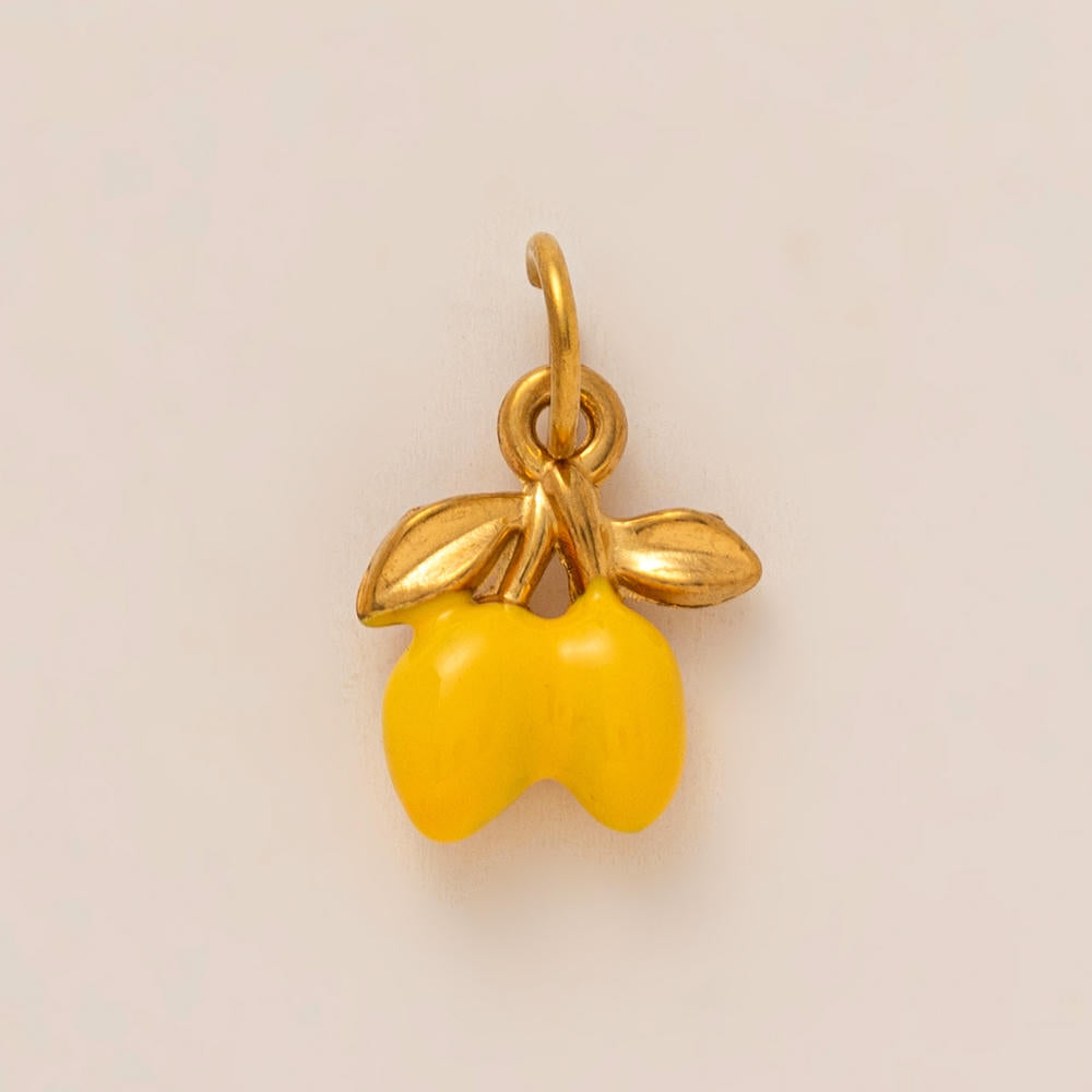 Summer Fruit Clog Decoration 18K Gold Steel JX26041264GK
