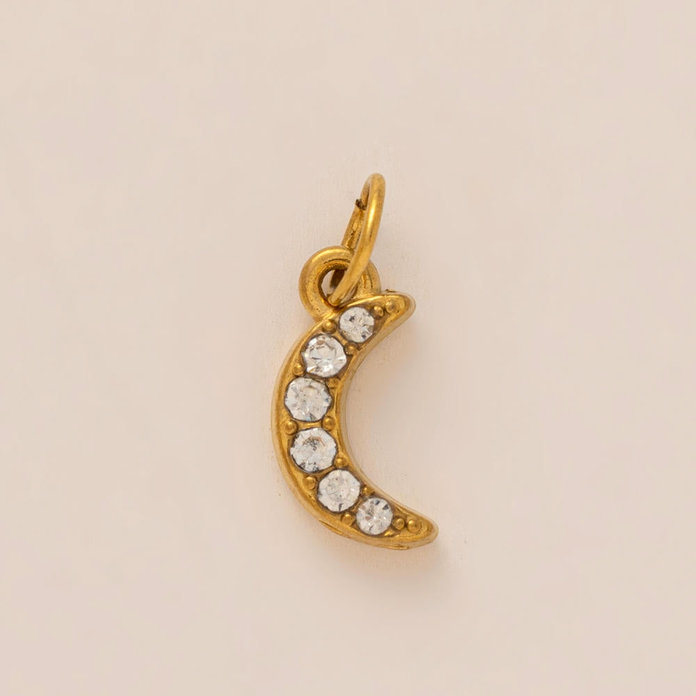 Summer Fruit Clog Decoration 18K Gold Steel JX26041264GK